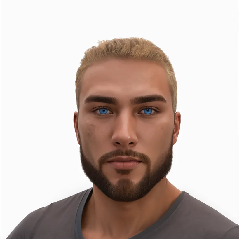 Elite Director